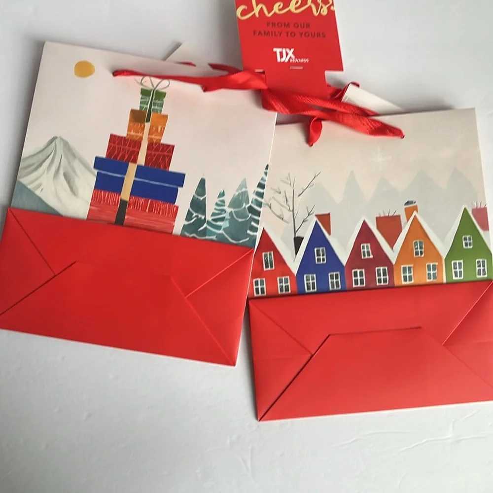 Gift Bags with Tissue and Tags 2 Gift Bags NWT